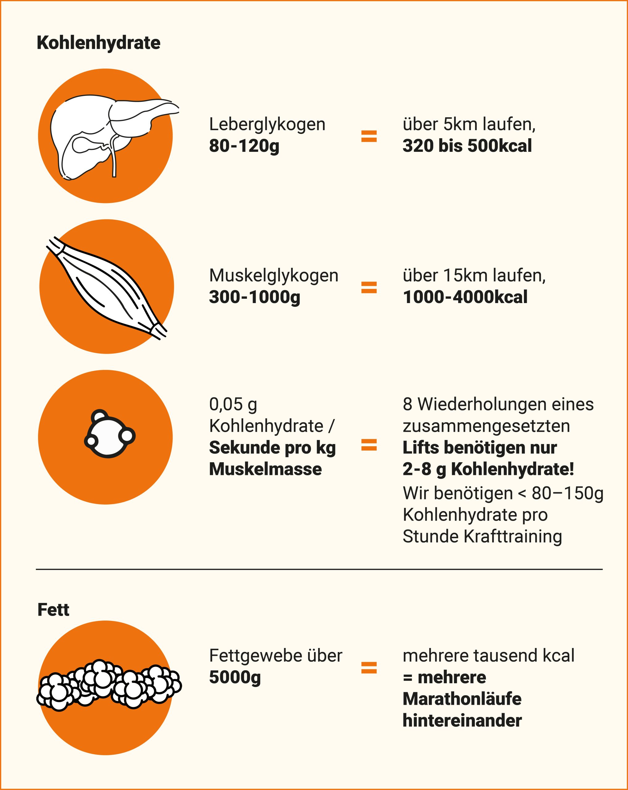 Bild Glykogenspeicher und Kohlenhydrate im Sport