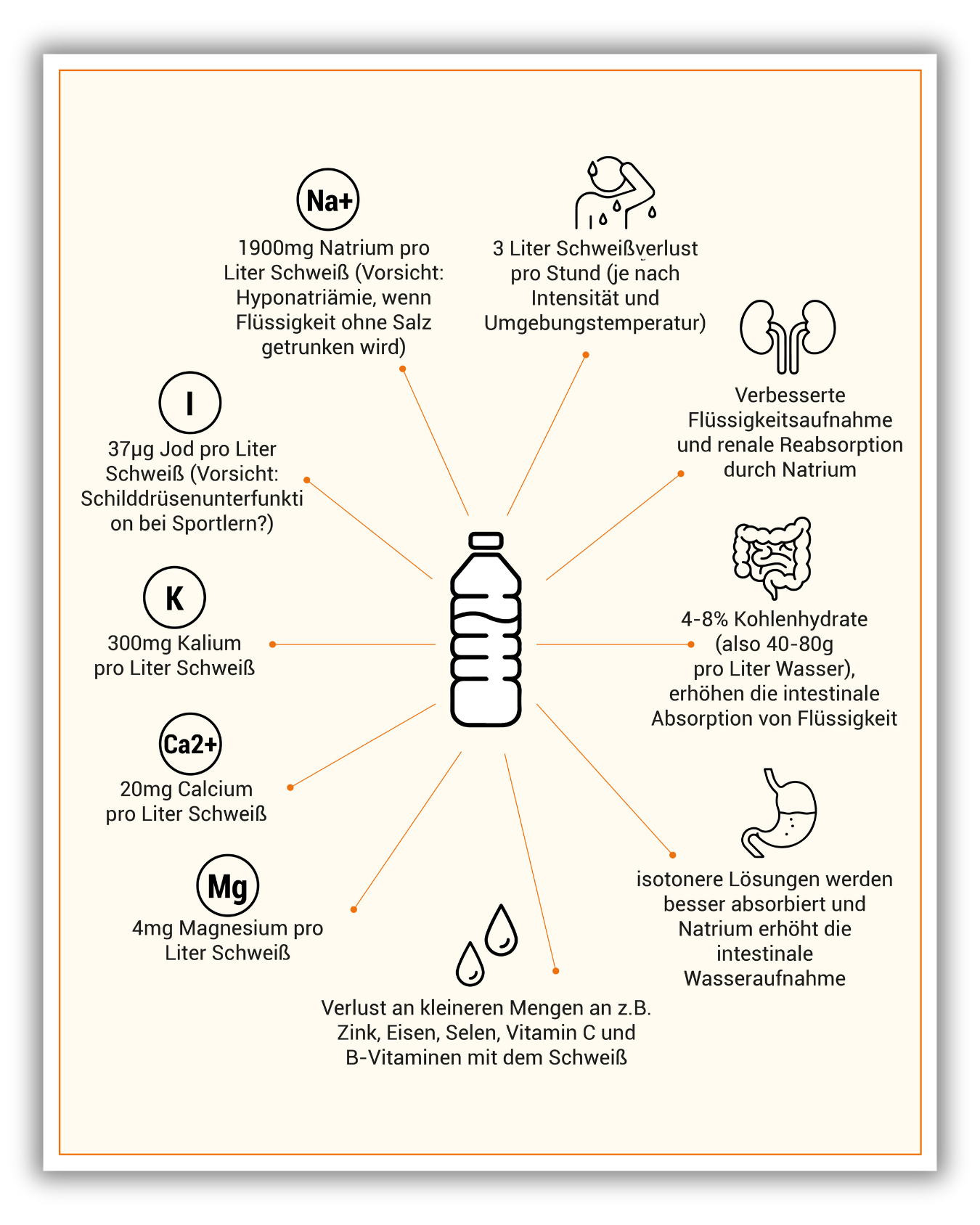 Bild Optimale Hydration im Sport