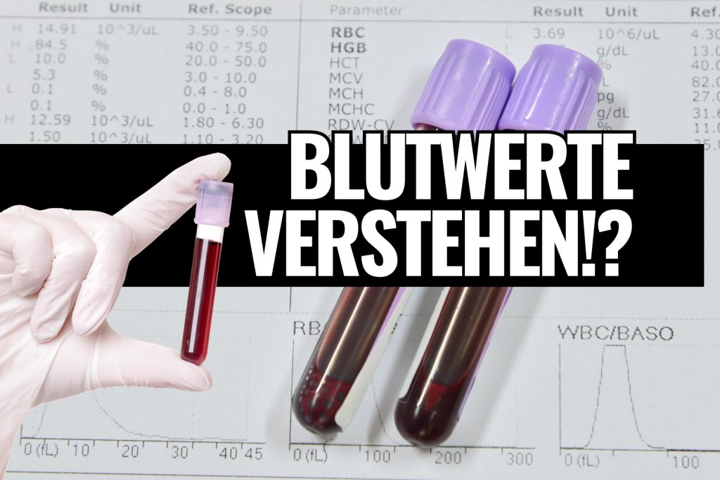 Blutwerte verstehen und interpretieren Biochemie des Menschen Ausbildung