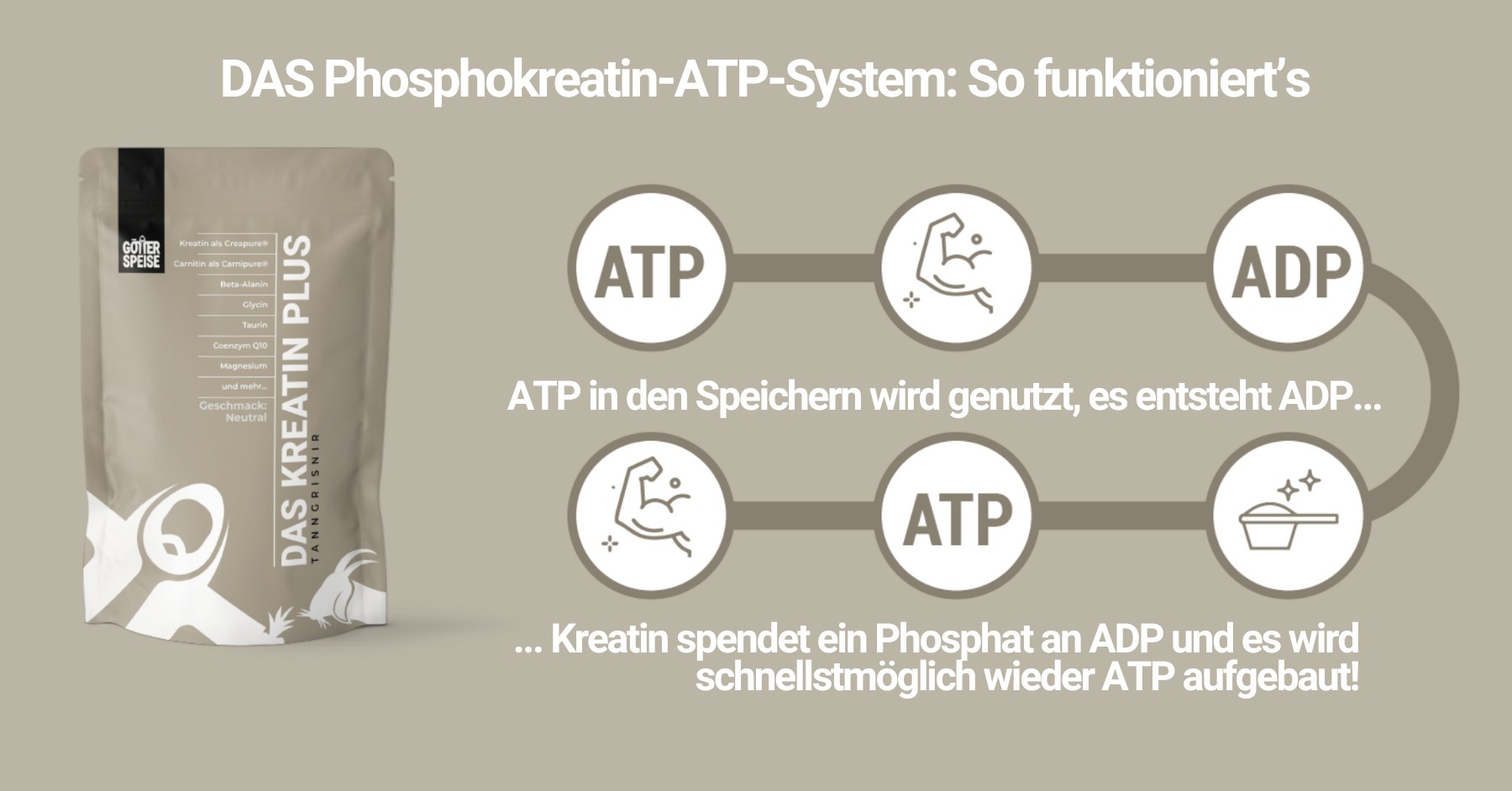 Kreatin für mehr Kraft und Leistung